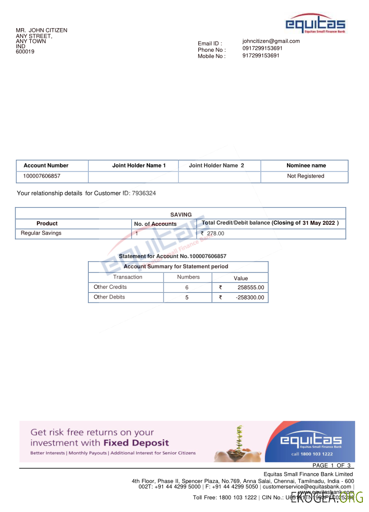 Modèle de relevé bancaire INDIA EQUITAS, format Word et PDF